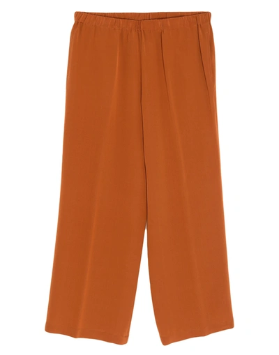 Aspesi Pants In Rust