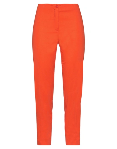 Sfizio Pants In Orange