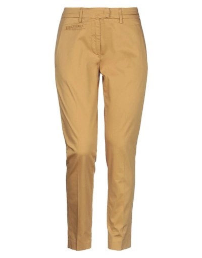 Dondup Pants In Camel