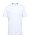 Daniele Fiesoli T-shirts In White