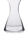 ICHENDORF MILANO STAND UP GLASS CARAFE