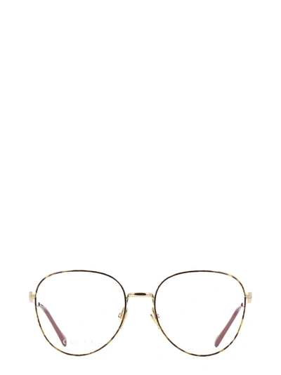 Gucci Gg0880o Gold / Havana Glasses