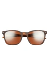 Oakley Oakely Prizm™ 55mm Polarized Sunglasses In Brown Tort/ Prizm Tungsten