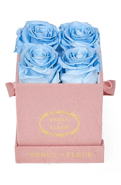 Venus Et Fleur Classic Le Petit Eternity Roses In Baby Blue