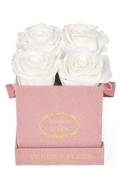 Venus Et Fleur Classic Le Petit Eternity Roses In Pure White