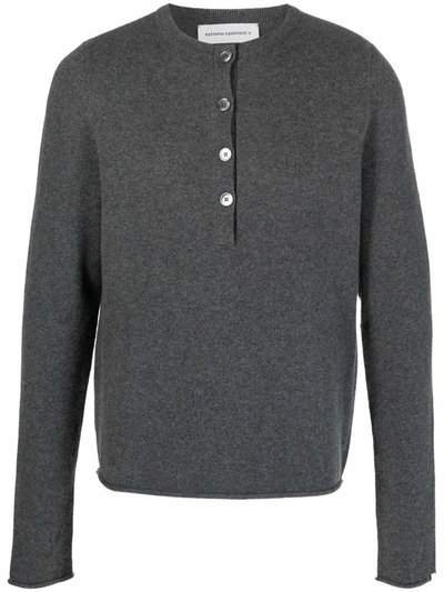 Extreme Cashmere Cashmere-blend Jumper In Grey