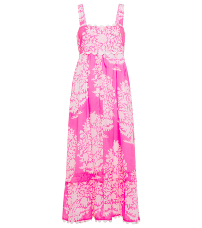 Juliet Dunn Printed Cotton Midi Dress In Fuschia