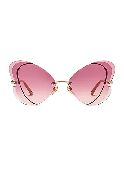Chloé Tayla 65mm Butterfly Sunglasses In Rose