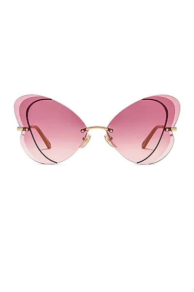 Chloé Tayla 65mm Butterfly Sunglasses In Shiny Classic Gold
