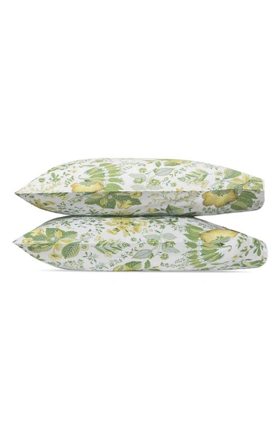 Matouk Pomegranate Set Of 2 500 Thread Count Pillowcases In Citrus