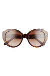 Prada 54mm Oval Sunglasses In Havana