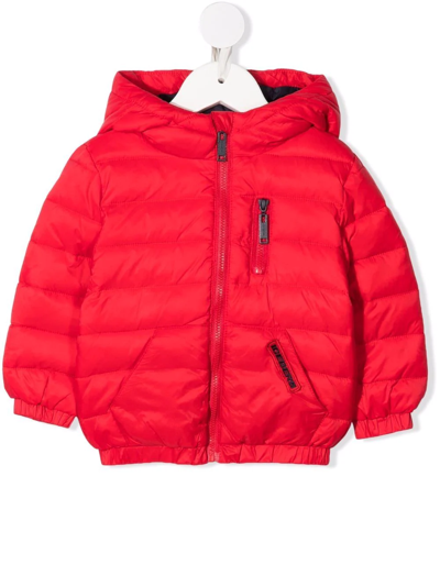 Iceberg Babies' Hooded Padded Jacket In Red