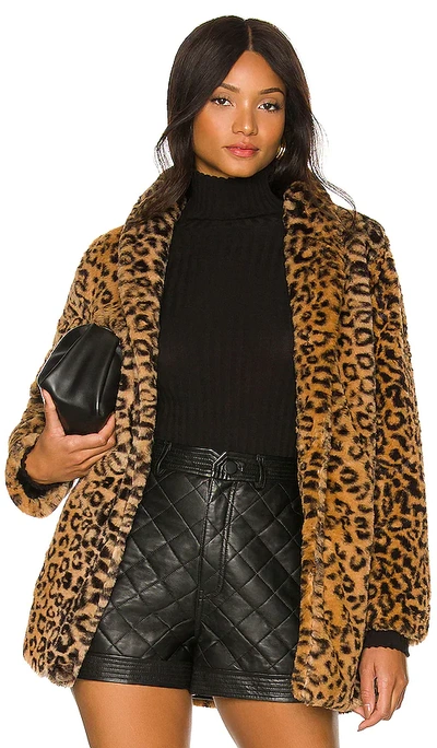 Adrienne Landau Leopard Faux Fur Jacket In Tan