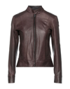 Masterpelle Jackets In Cocoa