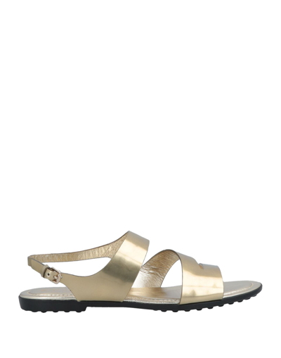 Tod's Sandals In Grey