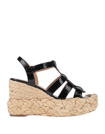 Paloma Barceló Espadrilles In Black