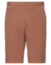 Pt Torino Shorts & Bermuda Shorts In Brown