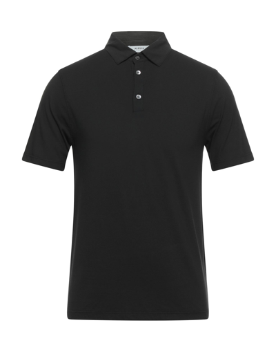 Alpha Studio Polo Shirts In Black