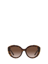 Prada Pr 01ys Acetate Square Sunglasses In Havana