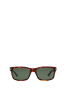 Persol 55mm Havana Rectangular Sunglasses In Havana