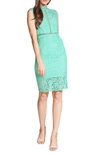 Bardot Lace Sheath Cocktail Dress In Mint Green