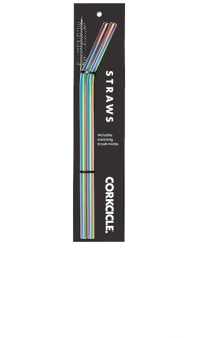 Corkcicle 2-pack Tumbler Straws In 浅紫