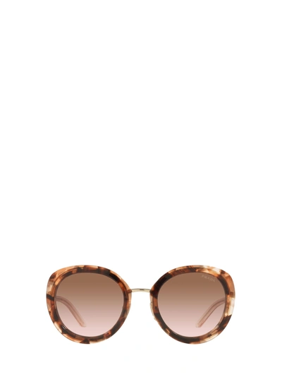 Prada Pr 54ys Caramel Tortoise Female Sunglasses In .