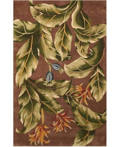 Nourison Tropics Ts02 Brown 3'6" X 5'6" Area Rug