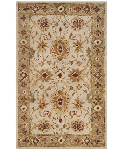 Safavieh Antiquity At816 Gray And Beige 4' X 6' Area Rug