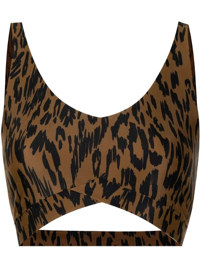 The Upside Tropical Bowie Leopard-print Sports Bra In Brown