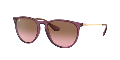 Ray Ban Ray In Pink Gradient Brown