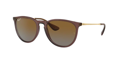 Ray Ban Ray In Brown Gradient Polar
