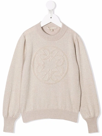 Elie Saab Junior Kids' Embroidered Crew Neck Jumper In Gold