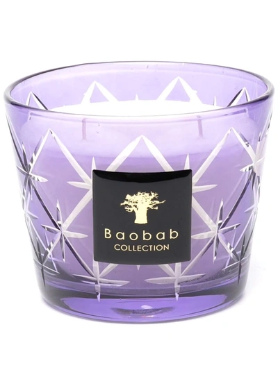 Baobab Collection Borgia Rodrigo Candle In Purple