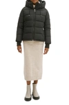 Noize Fixed Hood And Inner Collar Short Puffer Jacket In Black
