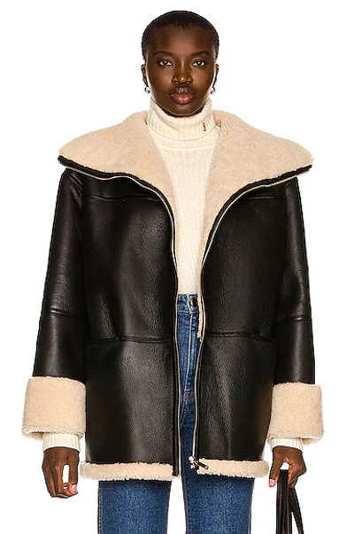 Totême Toteme Menfi Oversize Genuine Shearling Coat In Brown