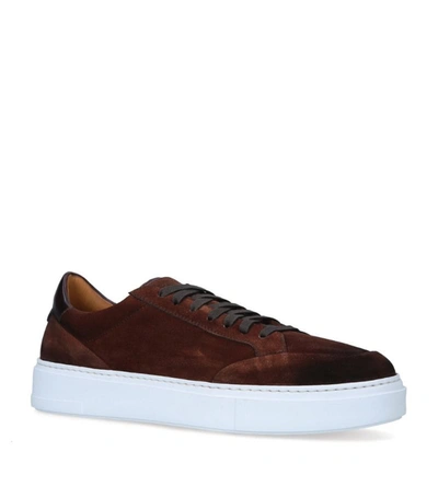 Magnanni Suede Arkolla Sneakers In Brown
