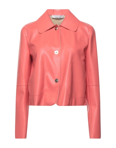 Liviana Conti Jackets In Pink