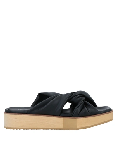 Eqüitare Equitare Woman Mules & Clogs Black Size 6 Textile Fibers