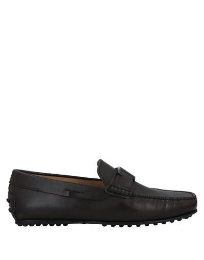 Tod's Loafers In Brown