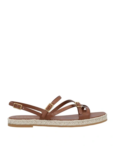 Tod's Espadrilles In Brown