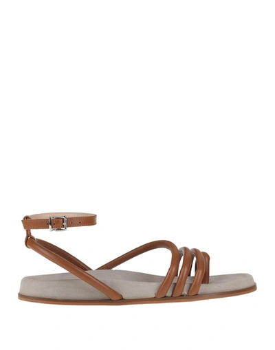 Janet & Janet Toe Strap Sandals In Brown