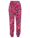 Soallure Pants In Fuchsia