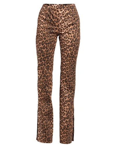 Blumarine Pants In Brown