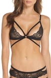 Honeydew Intimates Lucy Elastic & Lace Bra Black In Black
