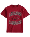 Champion Youth Boys Cardinal Arkansas Razorbacks Circling Team Jersey T-shirt In Cardinal