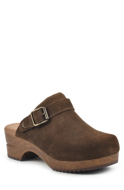 White Mountain Being Buckled Leather Clog In Brown Suede