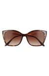 Prada 54mm Gradient Cat Eye Sunglasses In Havana/ Brown Gradient