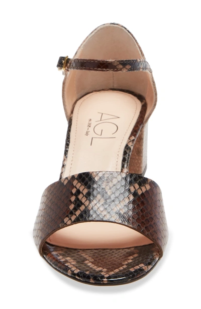 Agl Attilio Giusti Leombruni Snake Embossed Block Heel Sandal In Brown Snake Print