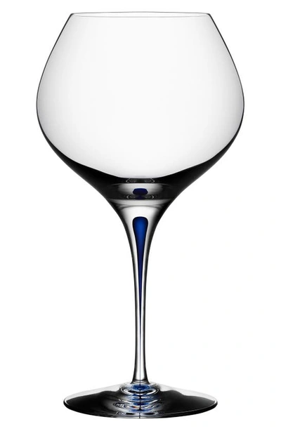 Orrefors Intermezzo Bouquet Wine Glass In Clear/ Blue